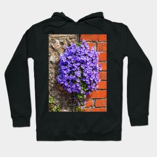 Purple Aubrieta Hoodie